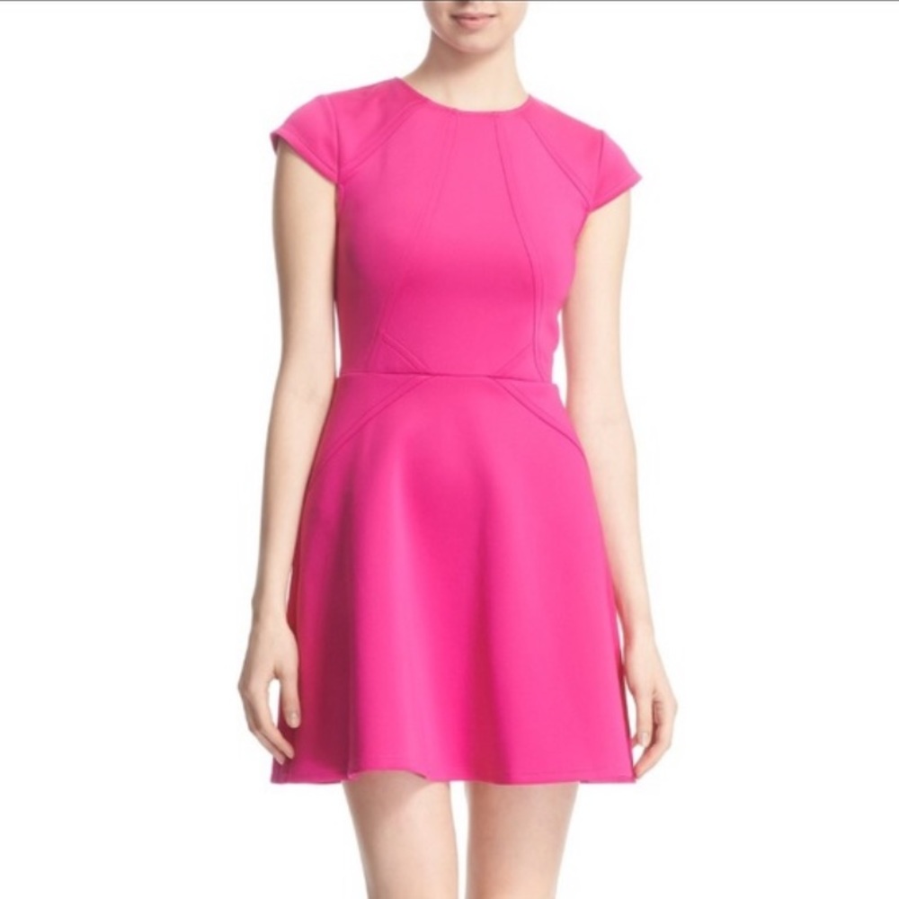 Ted Baker London | Pink Skater Dress | 3